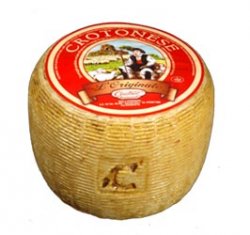 PETIT CANESTRATO